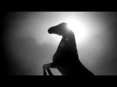 مركبة البنزين